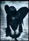   angel girl